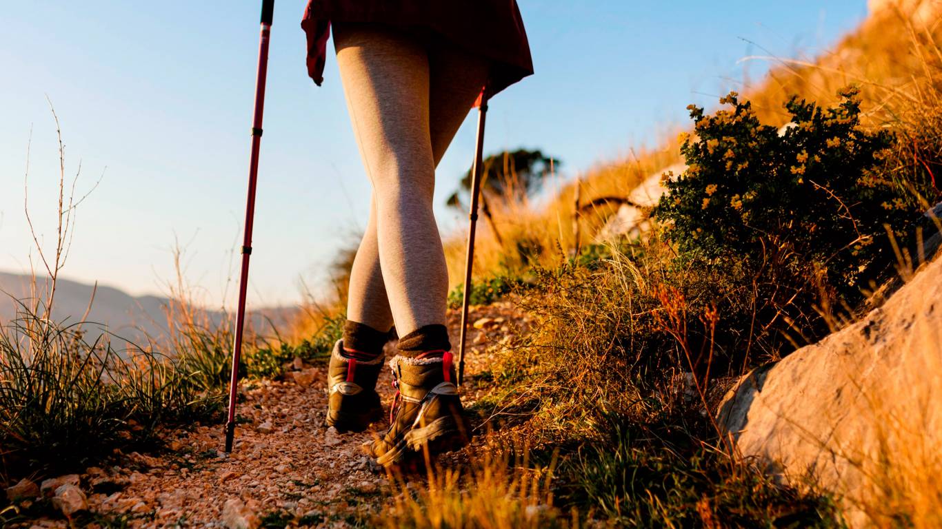 nordic-walking